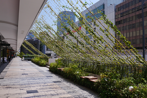 東急プラザ赤坂 オープンコリドール「野に咲く花の回廊」