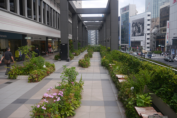 東急プラザ赤坂 オープンコリドール「野に咲く花の回廊」